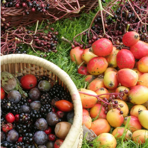 Its time to go a-foraging as our live workshop is all about hedgerow fruits at Rosie's Preserving School UK