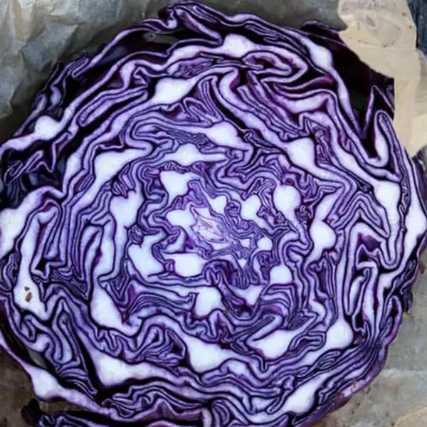 Rosie's Preserving School Workhop Recipe - Red Cabbage and Beetroot Chutney