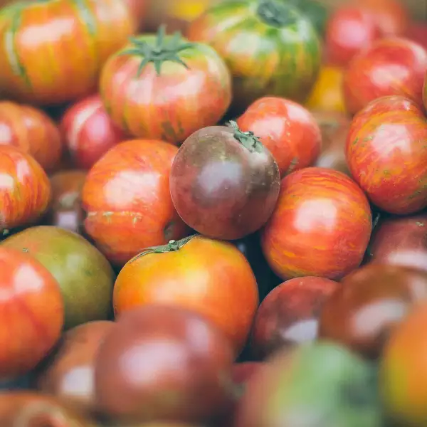 learn to preserve tomatoes in our online workshop on canning at Rosie's Preserving School UK