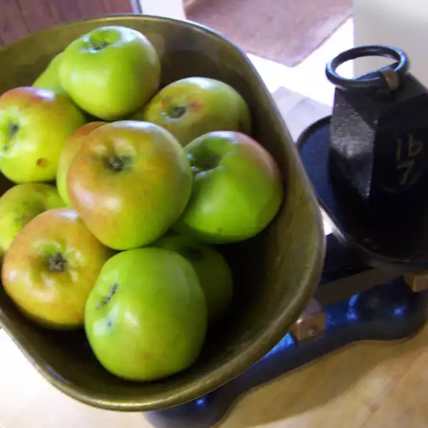 Online workshop to make apple chutney easily and quickly at Rosie's Preserving School UK
