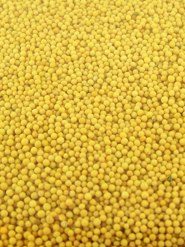 Mustard Seeds Yellow 1000g 1