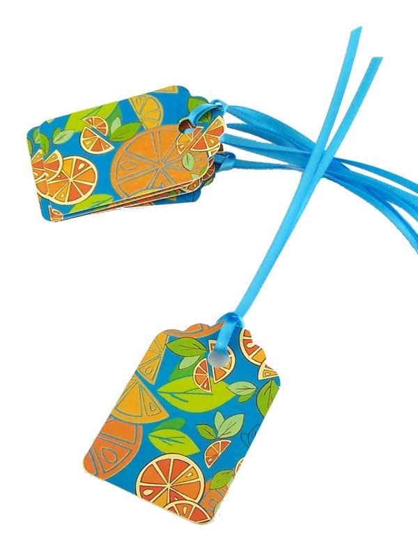 Luggage Tags Mixed Citrus with Ribbon